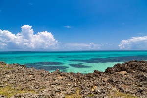 宮古島　浮気調査